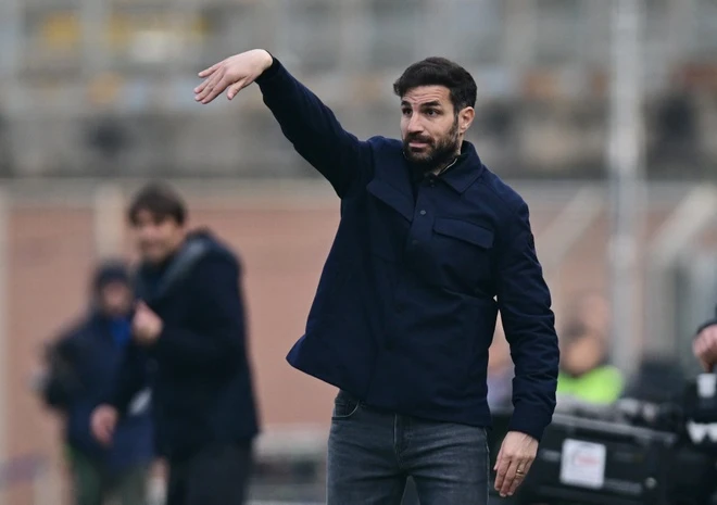 Cesc Fabregas anh 1