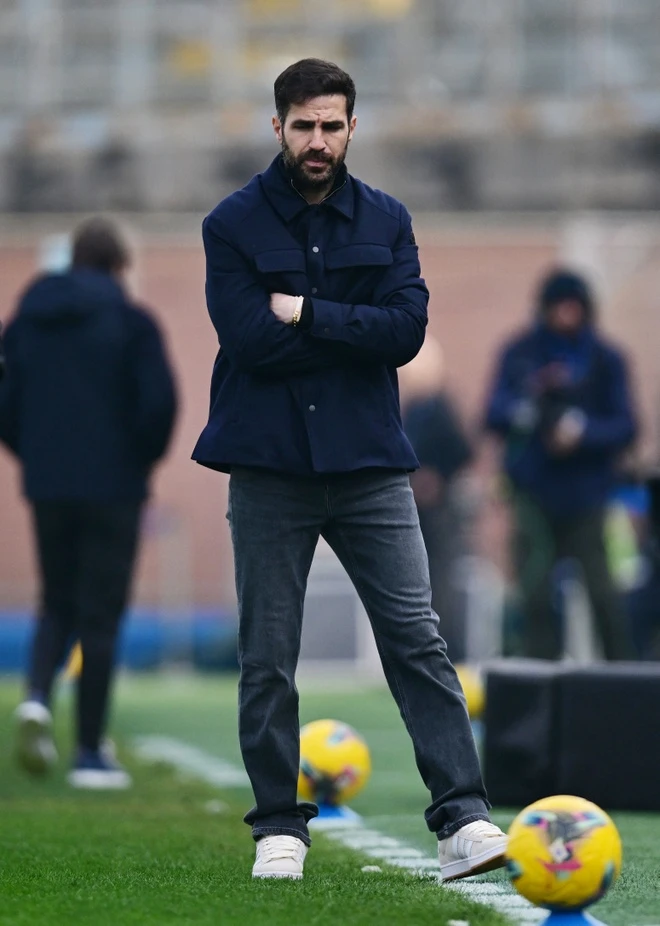 Cesc Fabregas anh 3
