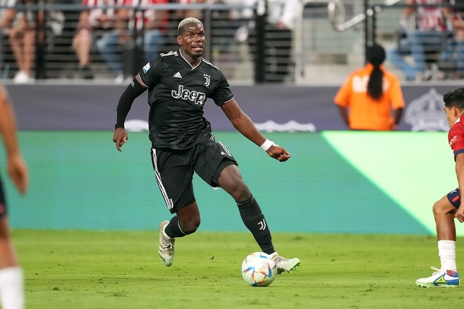 Pogba anh 1